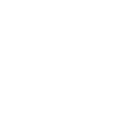 mute icon