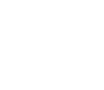 speaker icon